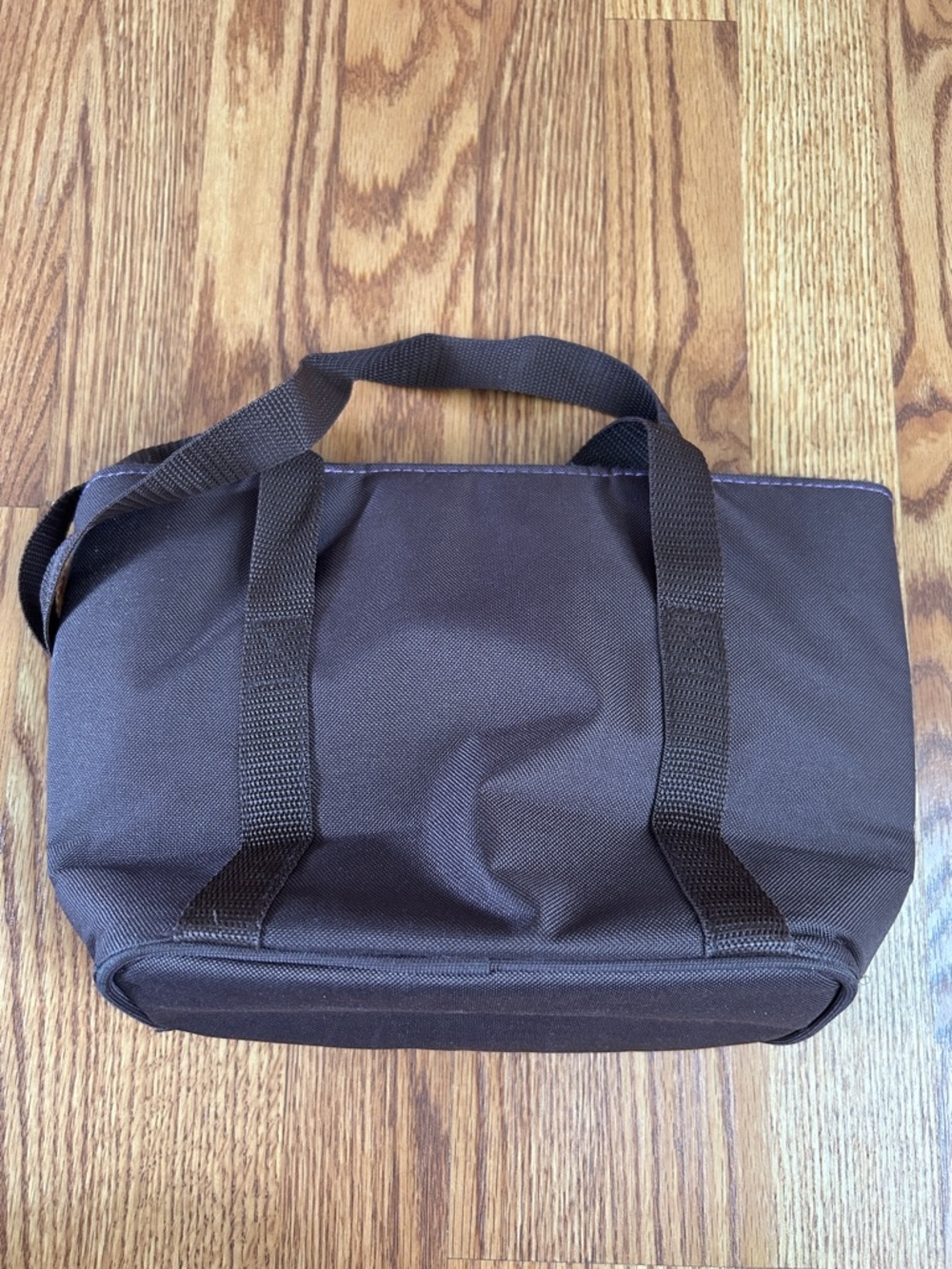 Raya by Thermos Clean Zipper Insulated Solid Brown w/Purple Stripes Lunch Tote - Picture 6 of 14